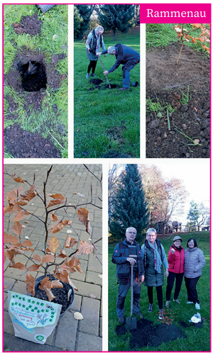 baumpflanz_rammenau Baumpflanz_Challenge_Rammenau